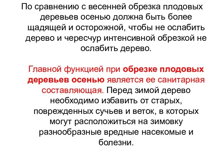 По сравнению с весенней обрезка плодовых деревьев осенью должна быть более щадящей