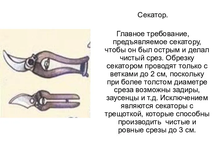 Секатор. Главное требование, предъявляемое секатору, чтобы он был острым и делал чистый