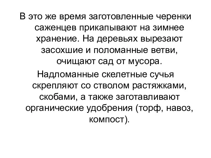 В это же время заготовленные черенки саженцев прикапывают на зимнее хранение. На