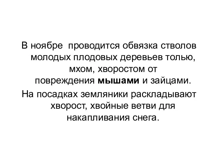 В ноябре проводится обвязка стволов молодых плодовых деревьев толью, мхом, хворостом от