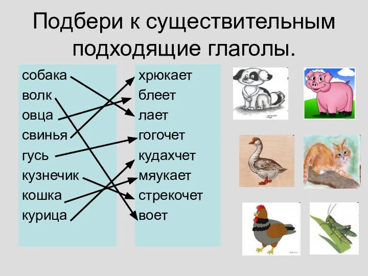 Подбери к существительным подходящие глаголы. собака волк овца свинья гусь кузнечик кошка