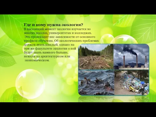 Где и кому нужна экология? В настоящий момент экология изучается во многих