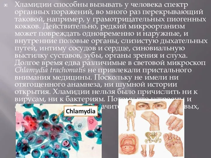 Хламидии способны вызывать у человека спектр органных поражений, во много раз перекрывающий