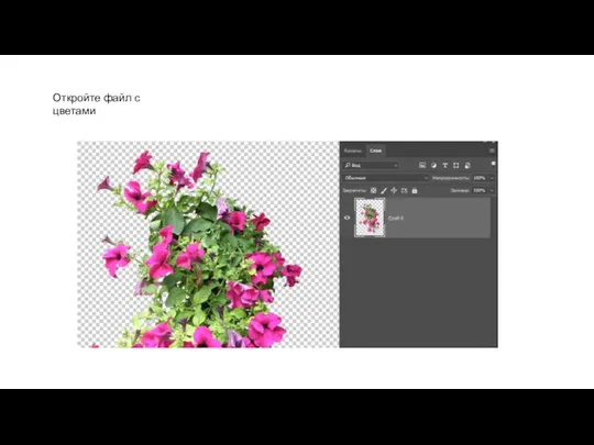 Откройте файл с цветами