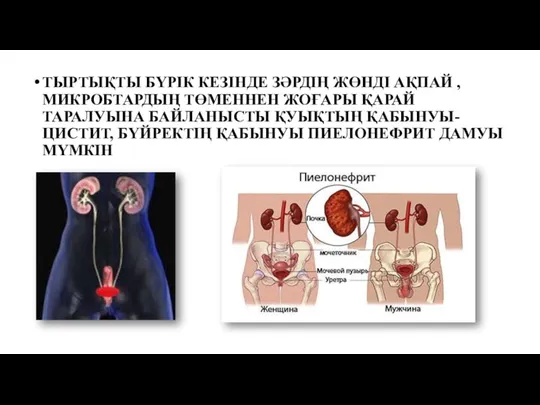 ТЫРТЫҚТЫ БҮРІК КЕЗІНДЕ ЗӘРДІҢ ЖӨНДІ АҚПАЙ , МИКРОБТАРДЫҢ ТӨМЕННЕН ЖОҒАРЫ ҚАРАЙ ТАРАЛУЫНА