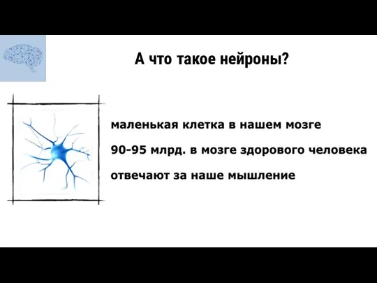 А что такое нейроны?