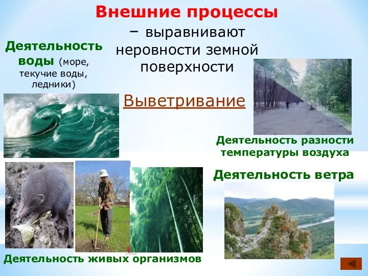 Внешние процессы – выравнивают неровности земной поверхности Выветривание Деятельность воды (море, текучие