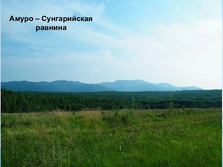 Амуро – Сунгарийская равнина