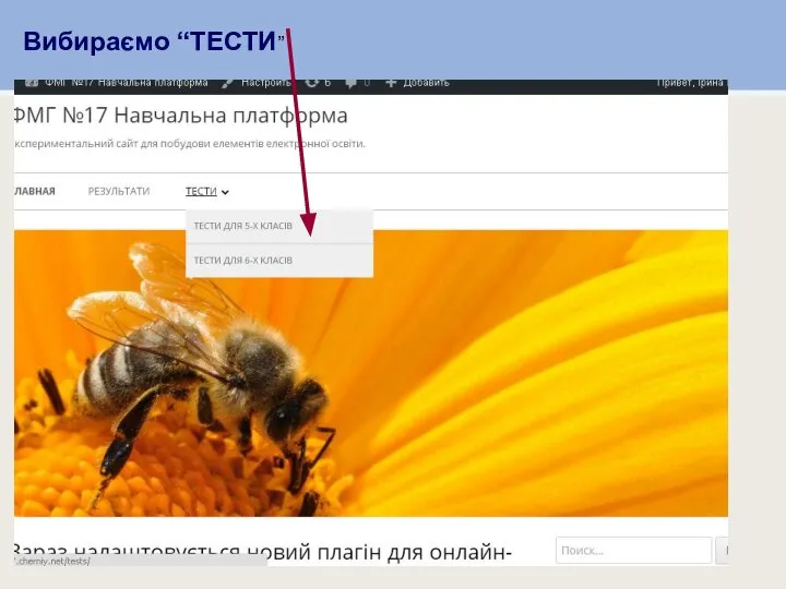 Вибираємо “ТЕСТИ” Вибираємо “ТЕСТИ”