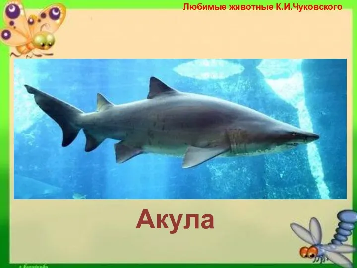 Любимые животные К.И.Чуковского Акула