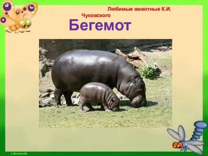 Любимые животные К.И.Чуковского Бегемот