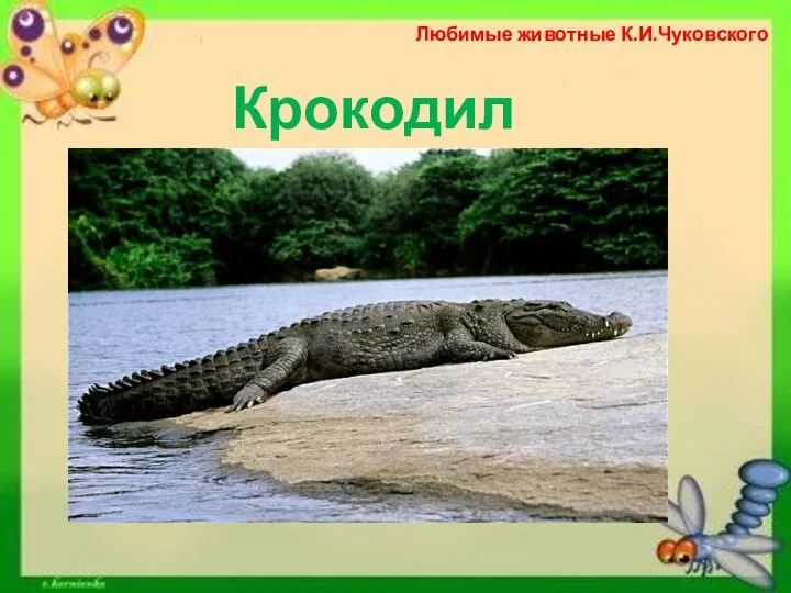 Любимые животные К.И.Чуковского Крокодил