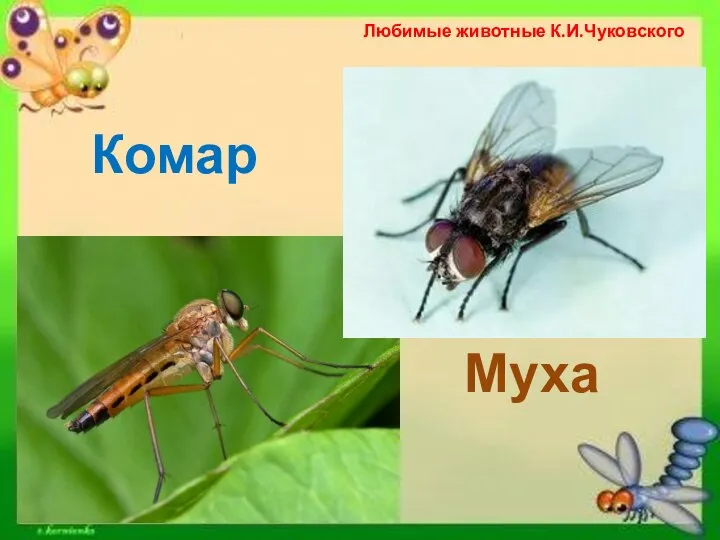 Любимые животные К.И.Чуковского Комар Муха