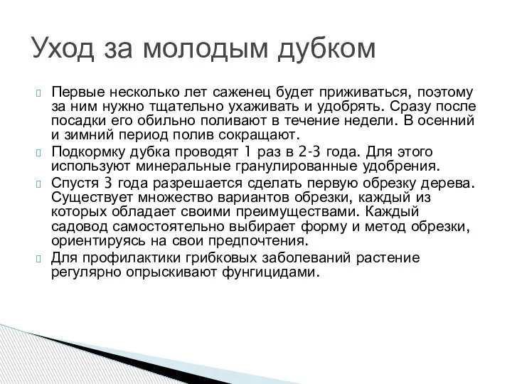 Первые несколько лет саженец будет приживаться, поэтому за ним нужно тщательно ухаживать