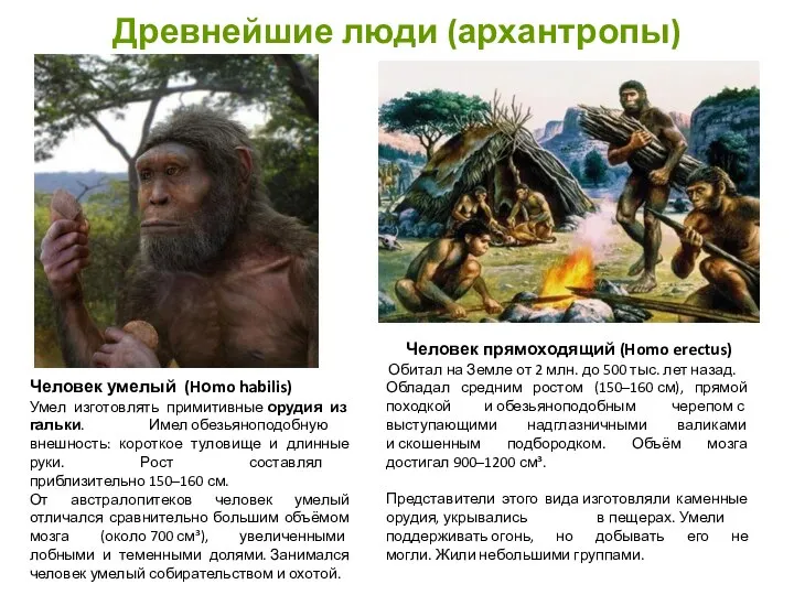 Древнейшие люди (архантропы) Человек прямоходящий (Homo erectus) Обитал на Земле от 2