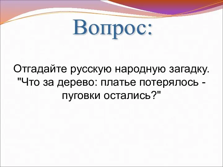 Вопрос: Отгадайте русскую народную загадку. "Что за дерево: платье потерялось - пуговки остались?"