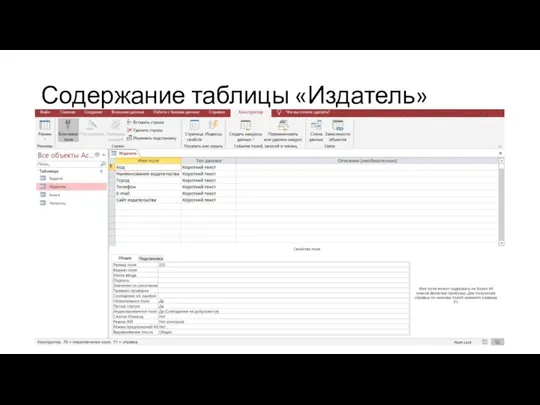 Содержание таблицы «Издатель»