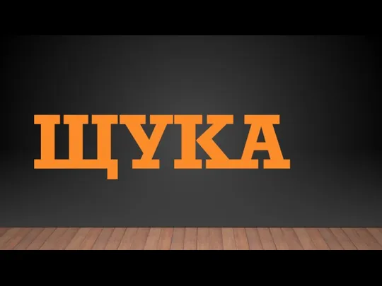 ЩУКА