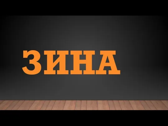 ЗИНА