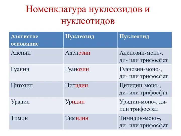 Номенклатура нуклеозидов и нуклеотидов