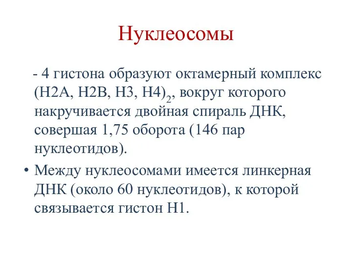 Нуклеосомы - 4 гистона образуют октамерный комплекс (Н2А, Н2В, Н3, Н4)2, вокруг