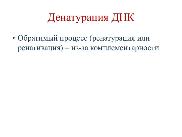 Денатурация ДНК Обратимый процесс (ренатурация или ренативация) – из-за комплементарности