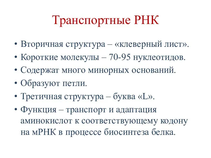 Транспортные РНК Вторичная структура – «клеверный лист». Короткие молекулы – 70-95 нуклеотидов.