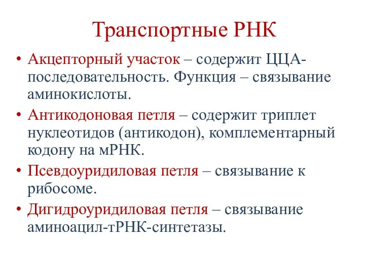 Транспортные РНК Акцепторный участок – содержит ЦЦА-последовательность. Функция – связывание аминокислоты. Антикодоновая