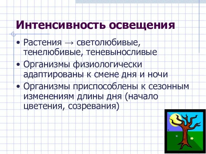 Интенсивность освещения Растения → светолюбивые, тенелюбивые, теневыносливые Организмы физиологически адаптированы к смене