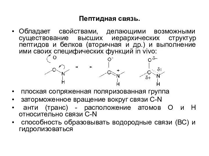 Пептидная связь. Обладает свойствами, делающими возможными существование высших иерархических структур пептидов и