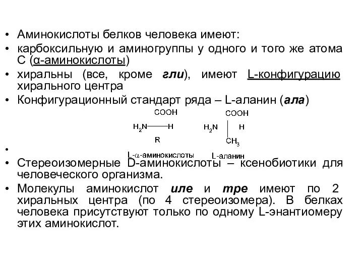 Аминокислоты белков человека имеют: карбоксильную и аминогруппы у одного и того же