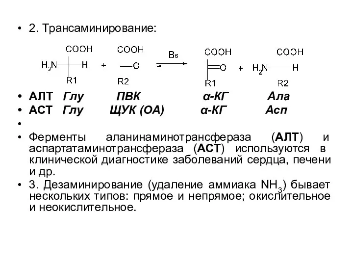 2. Трансаминирование: АЛТ Глу ПВК α-КГ Ала АСТ Глу ЩУК (ОА) α-КГ