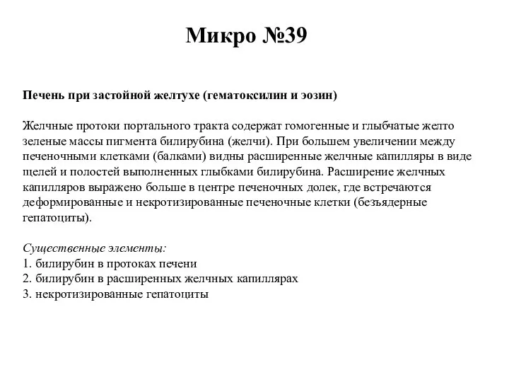 Микро №39 Печень при застойной желтухе (гематоксилин и эозин) Желчные протоки портального