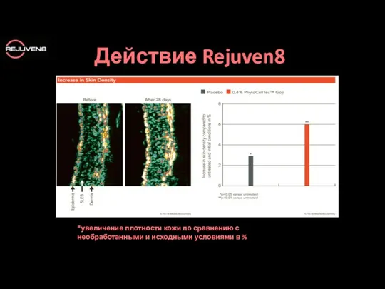 Действие Rejuven8 *увеличение плотности кожи по сравнению с необработанными и исходными условиями в %