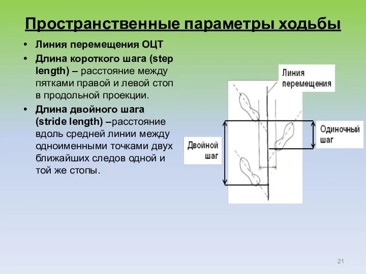 Пространственные параметры ходьбы Линия перемещения ОЦТ Длина короткого шага (step length) –