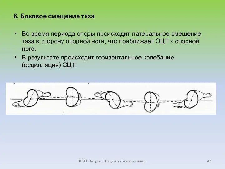 6. Боковое смещение таза Во время периода опоры происходит латеральное смещение таза