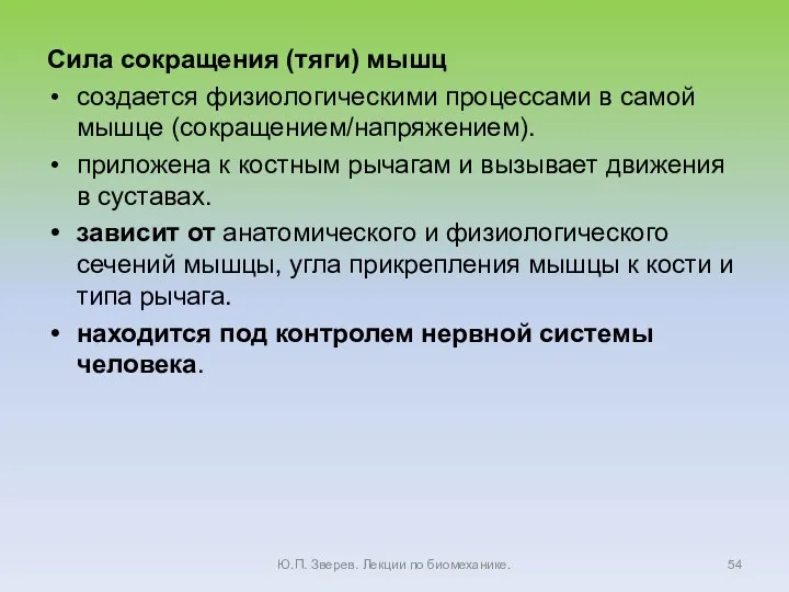 Сила сокращения (тяги) мышц создается физиологическими процессами в самой мышце (сокращением/напряжением). приложена