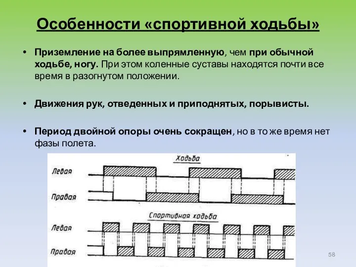 Особенности «спортивной ходьбы» Приземление на более выпрямленную, чем при обычной ходьбе, ногу.