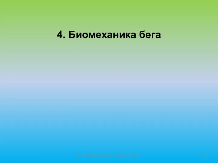 Ю.П. Зверев. Лекции по биомеханике. 4. Биомеханика бега