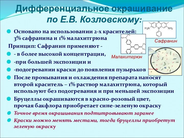 Дифференциальное окрашивание по Е.В. Козловскому: Основано на использовании 2-х красителей: 3% сафранина