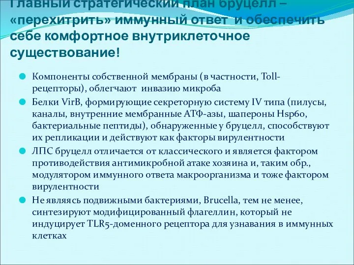 Главный стратегический план бруцелл – «перехитрить» иммунный ответ и обеспечить себе комфортное