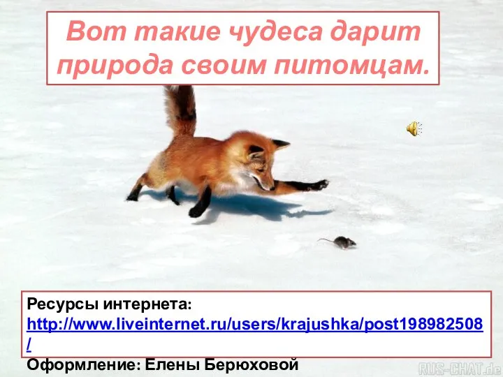 Вот такие чудеса дарит природа своим питомцам. Ресурсы интернета: http://www.liveinternet.ru/users/krajushka/post198982508/ Оформление: Елены Берюховой