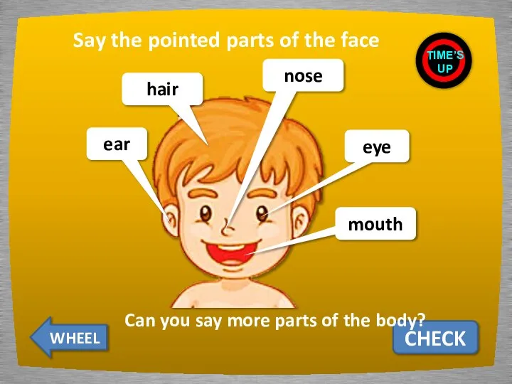 Say the pointed parts of the face CHECK ear hair nose eye