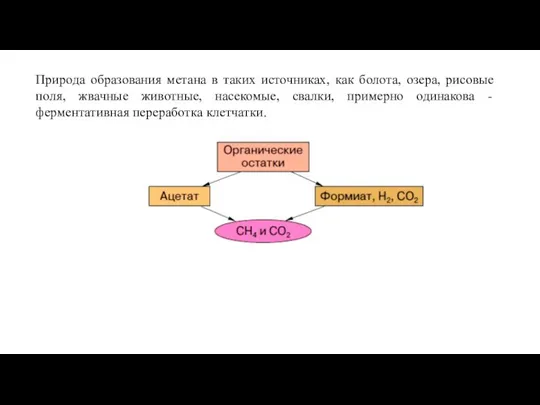 Природа образования метана в таких источниках, как болота, озера, рисовые поля, жвачные