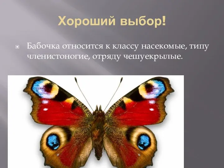 Хороший выбор! Бабочка относится к классу насекомые, типу членистоногие, отряду чешуекрылые.