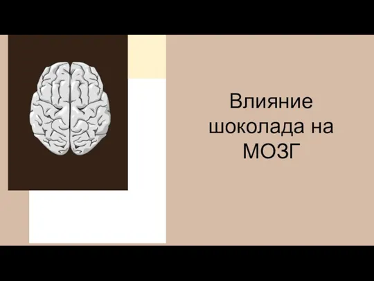 Влияние шоколада на МОЗГ