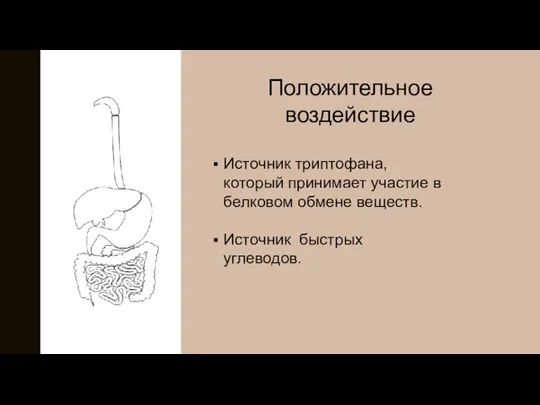 Положительное воздействие Источник триптофана, который принимает участие в белковом обмене веществ. Источник быстрых углеводов.