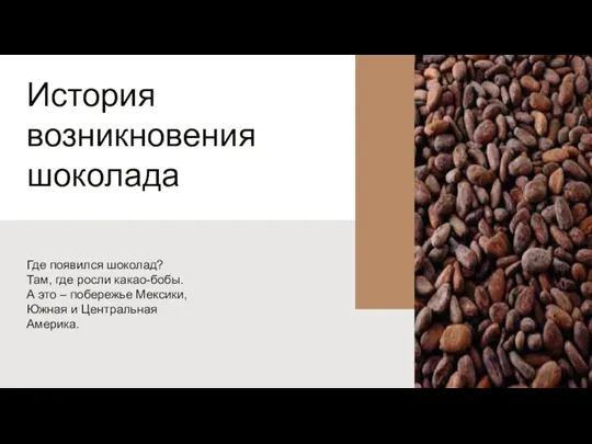 Где появился шоколад? Там, где росли какао-бобы. А это – побережье Мексики,