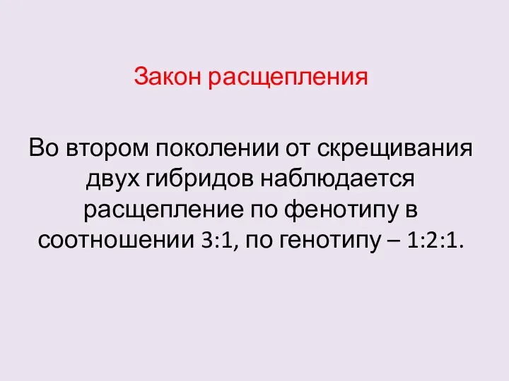 Закон расщепления Во втором поколении от скрещивания двух гибридов наблюдается расщепление по