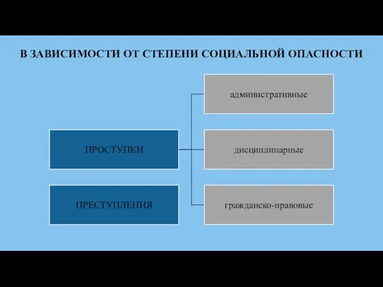 В ЗАВИСИМОСТИ ОТ СТЕПЕНИ СОЦИАЛЬНОЙ ОПАСНОСТИ